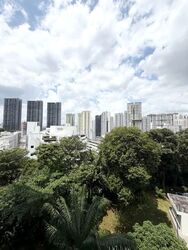 Blk 9 Rumah Tinggi View (Bukit Merah), HDB 5 Rooms #571827401